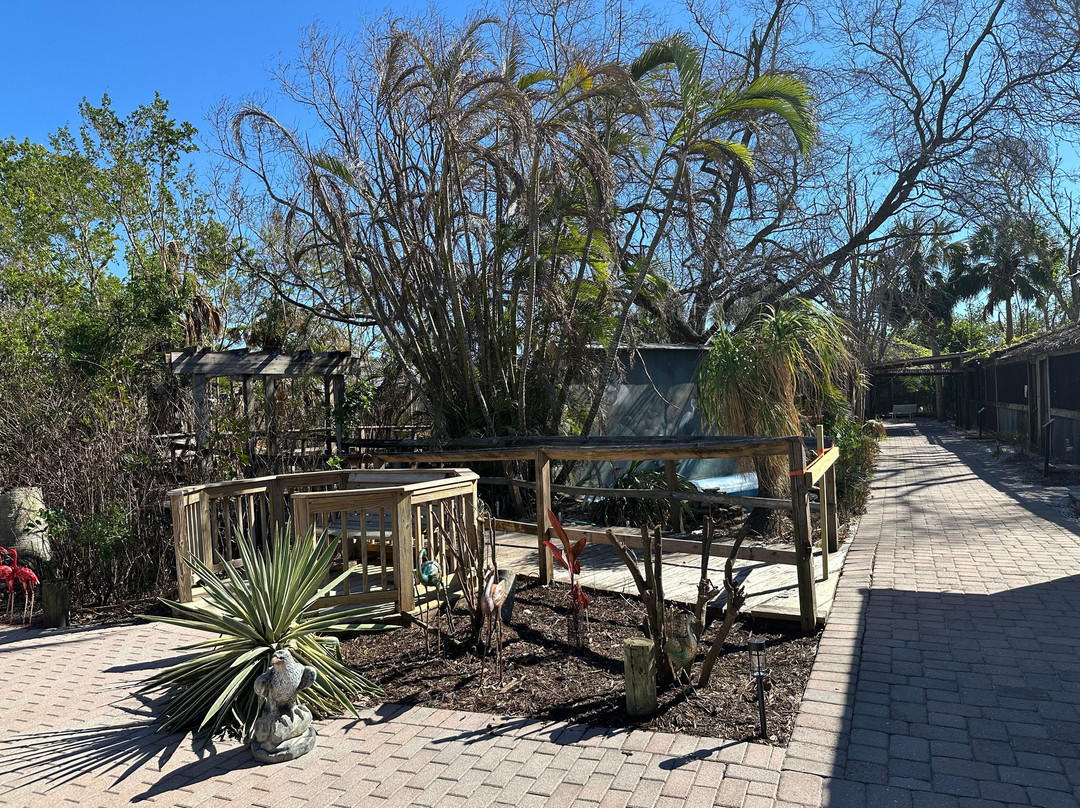 Save Our Seabirds-萨拉索塔必去景点