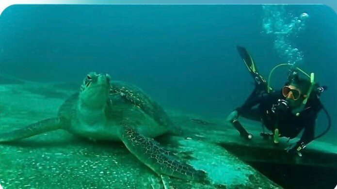 K'gari Salty Safaris-赫维湾必去景点