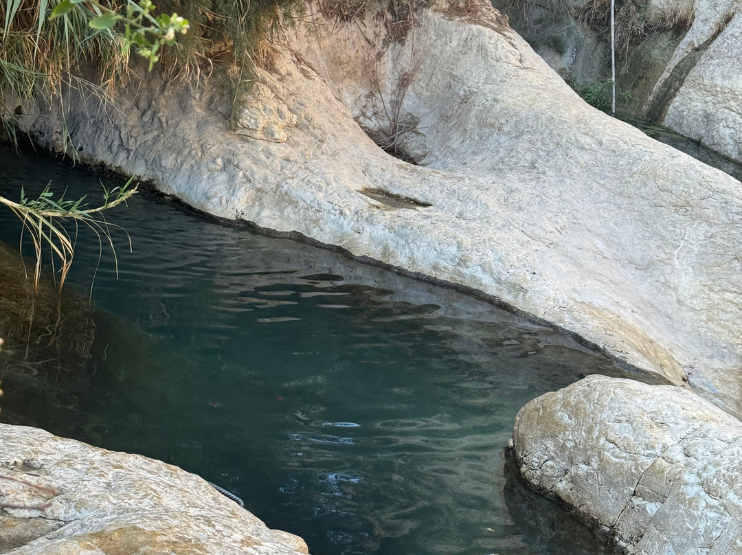 Nachal Arugot Nature Reserve-Masada必去景点