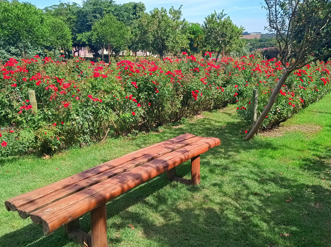 Bloemen Park景点图片