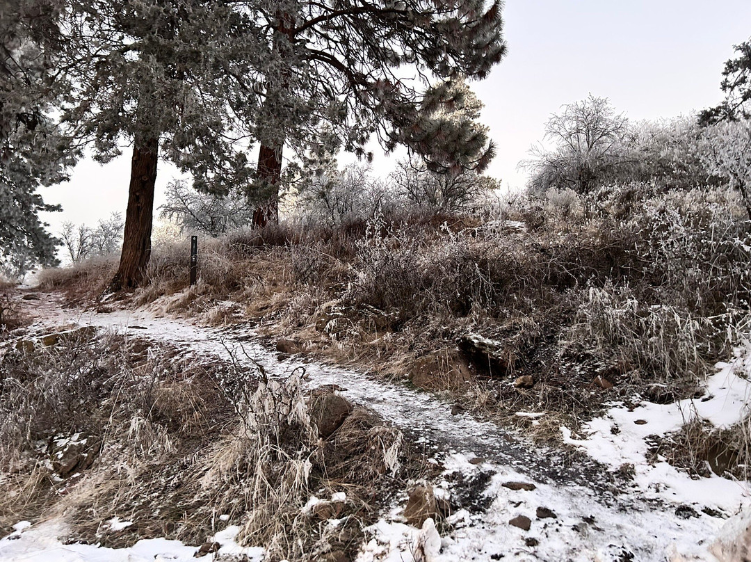 Moore Park-克拉马斯福尔斯必去景点