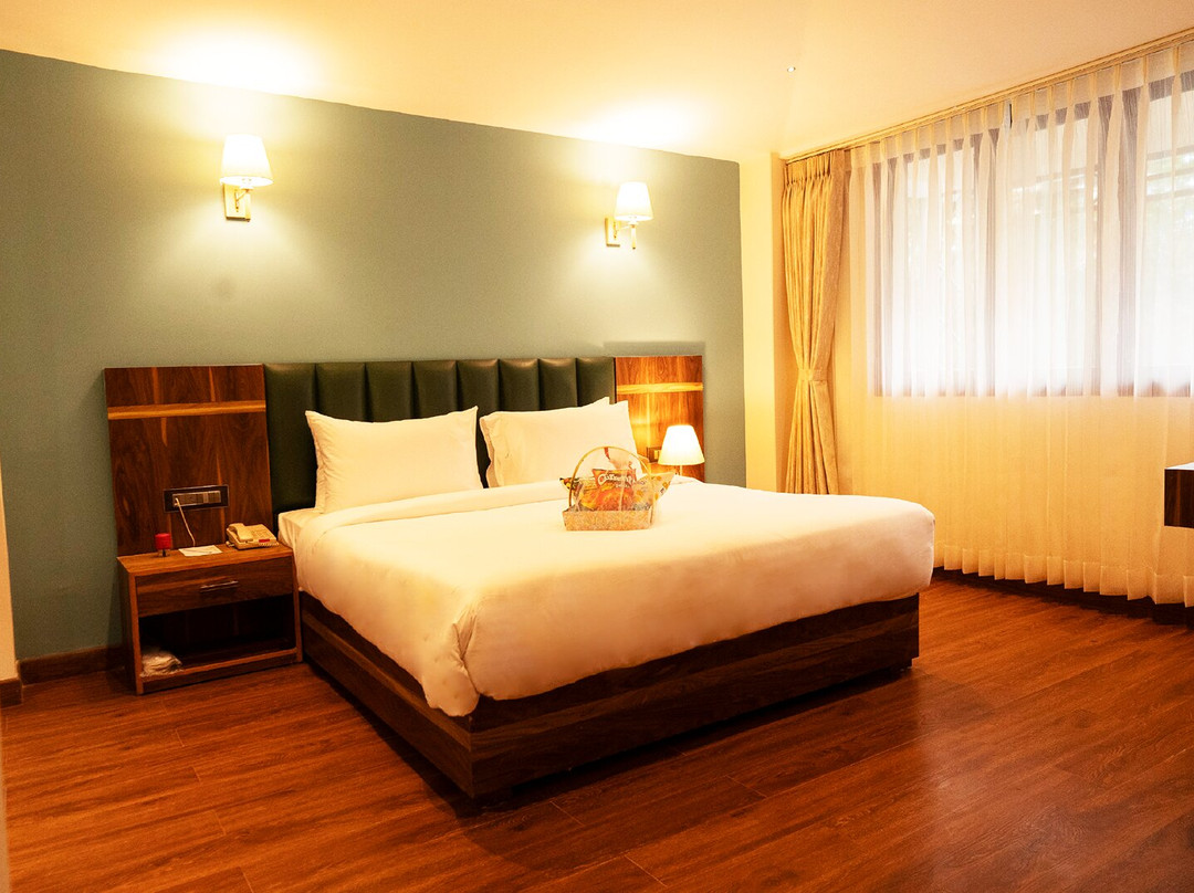 Cilantro Unwind Delisso Abode,pelling