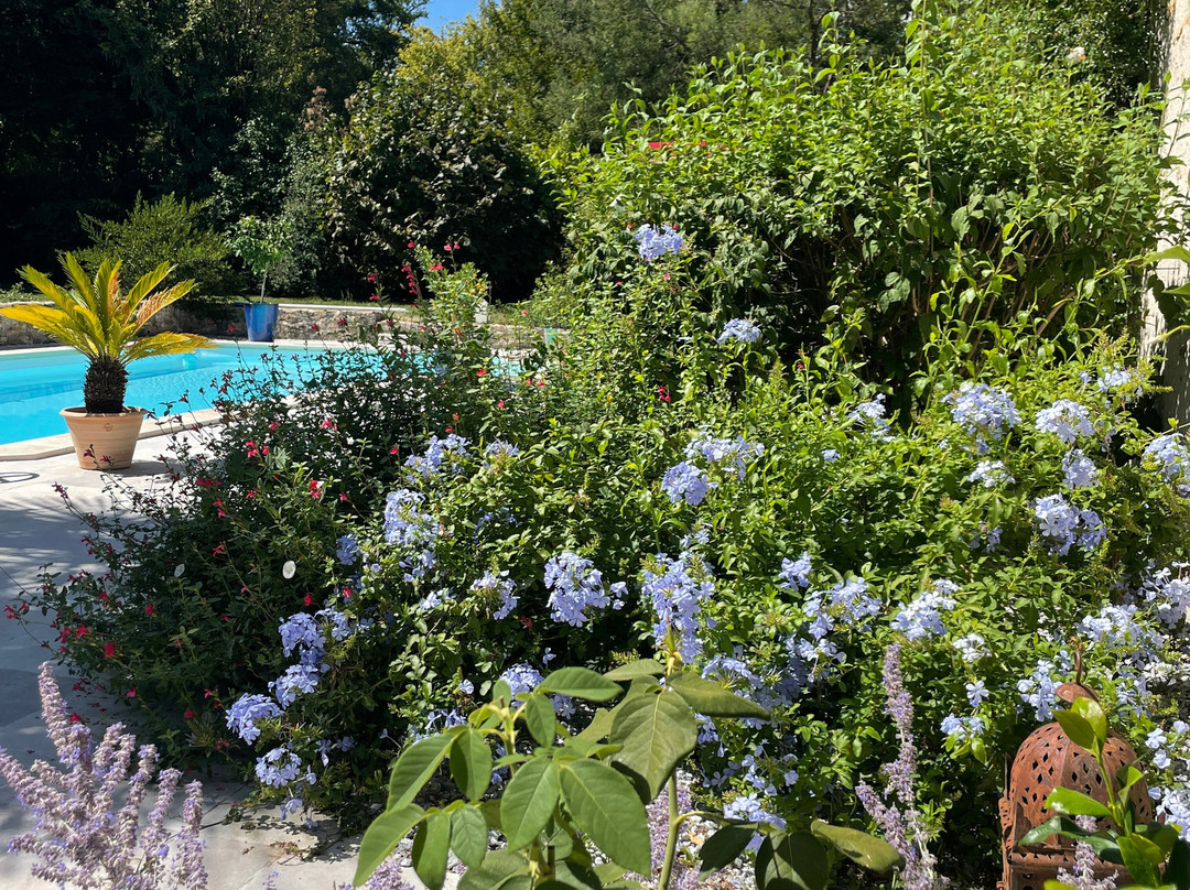 Villa Cassandre主图