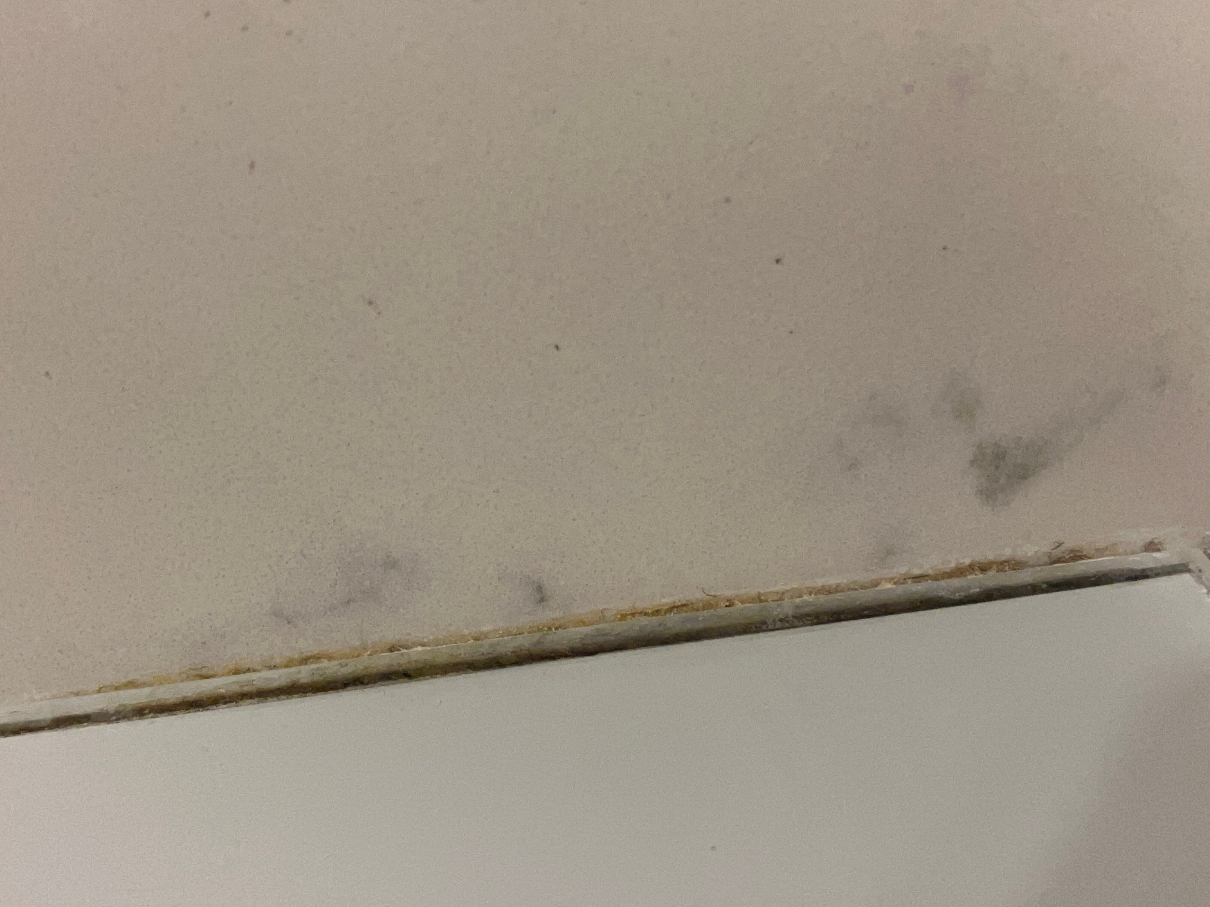 万豪巴黎戴高乐机场酒店-浴室