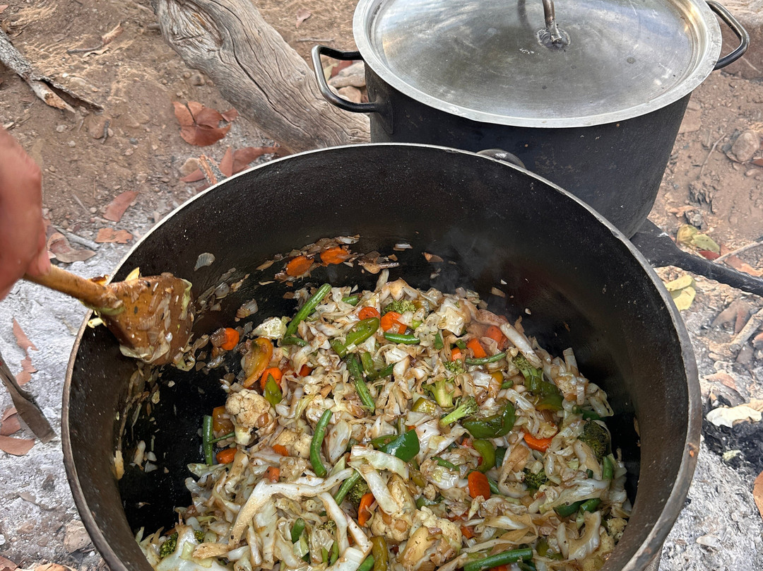 EHRA - Elephant Human Relations Aid-斯瓦科普蒙德必去景点