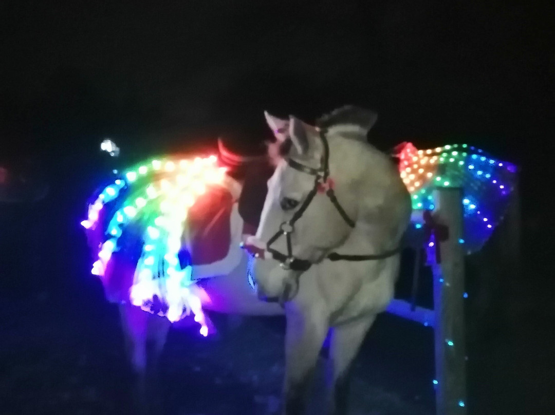 Grand Galop Rennes景点图片