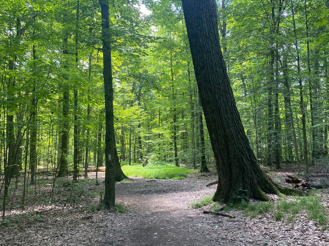 Nelson-Kennedy Ledges State Park-Nelson必去景点