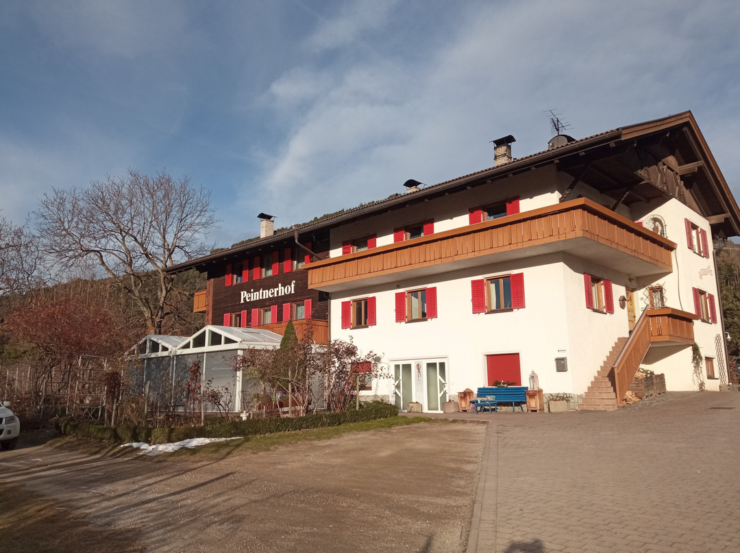 Naz-Sciaves酒店住宿-Peintnerhof Appartments & Zimmer