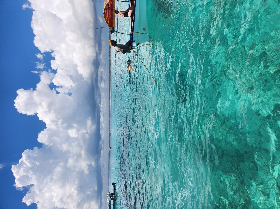 Mody Zanzibar Tours & Safaris-石头城必去景点