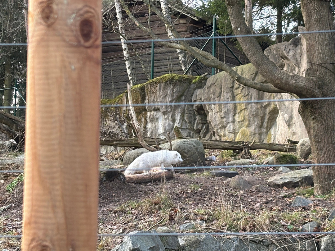 Skansen - Akvariet-斯德哥尔摩必去景点