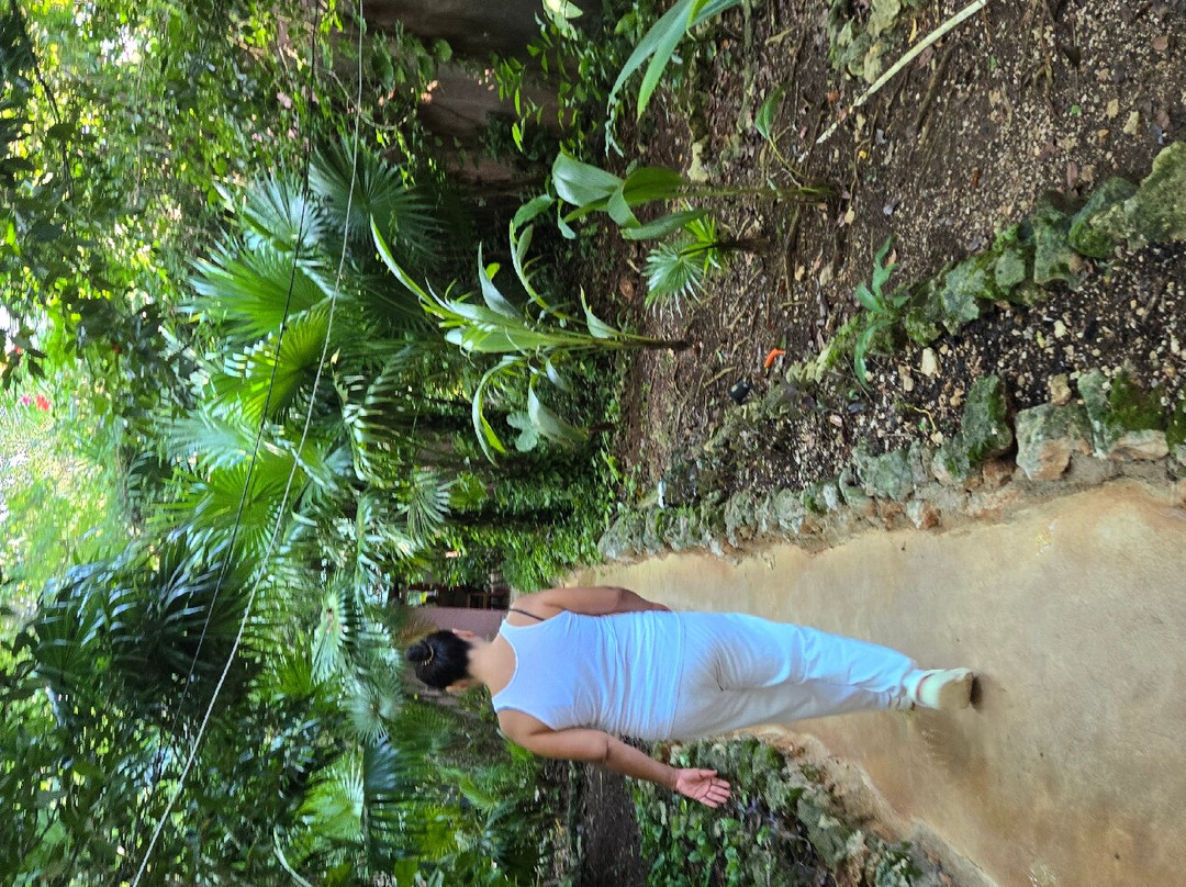 Los Colibries Mayan Jungle Spa-从莫雷洛斯港必去景点