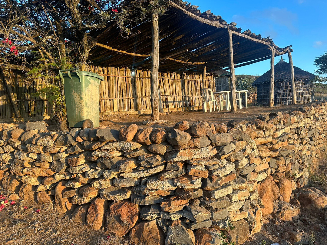 Day Forest National Park-吉布地必去景点