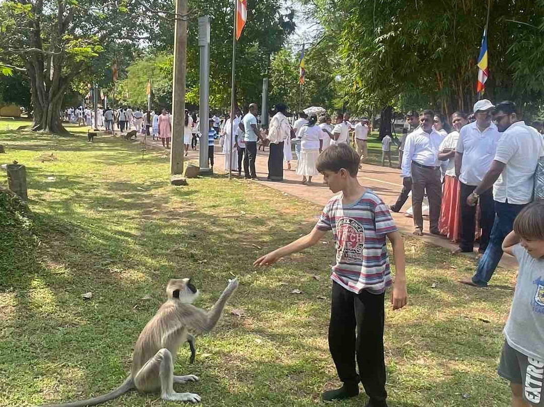 Tours In Sri Lanka By Ceylon Treks景点图片