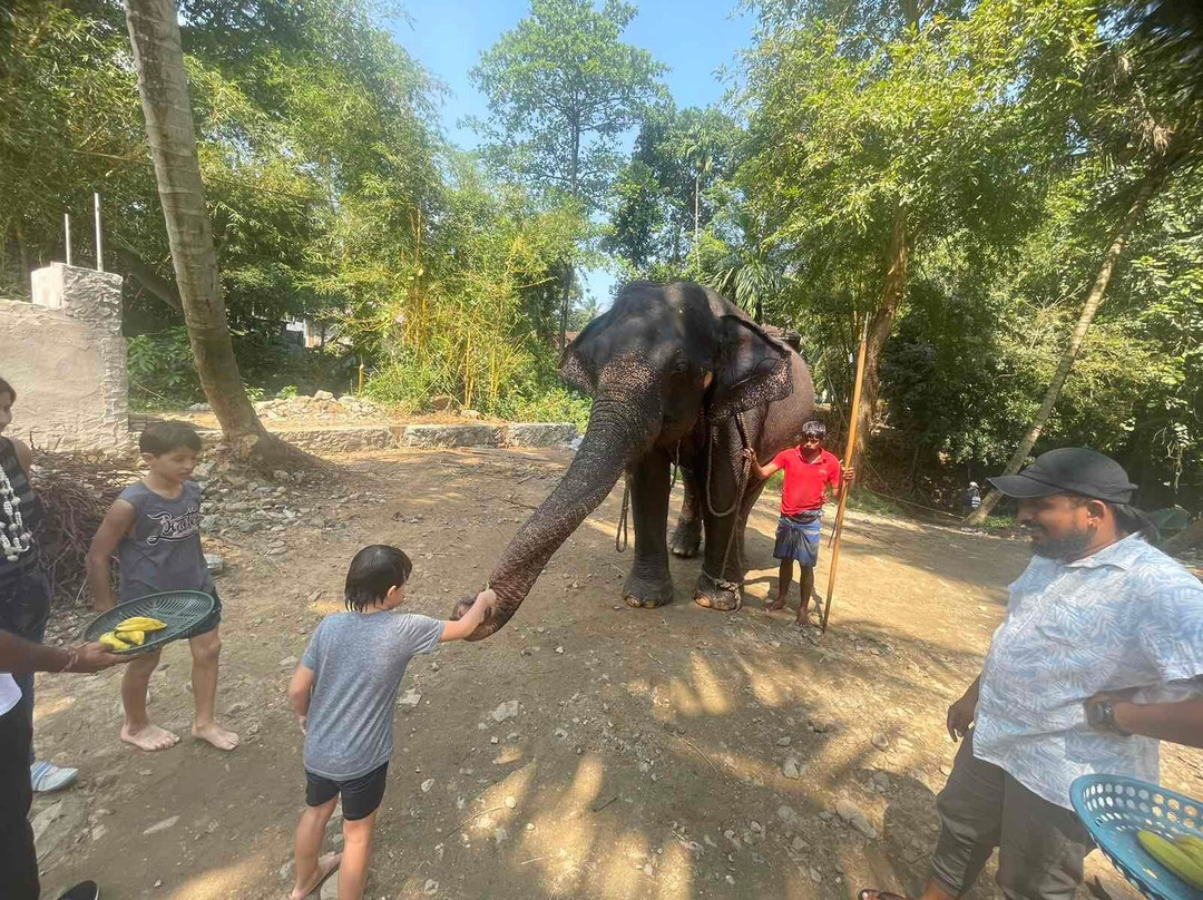 Tours In Sri Lanka By Ceylon Treks景点图片