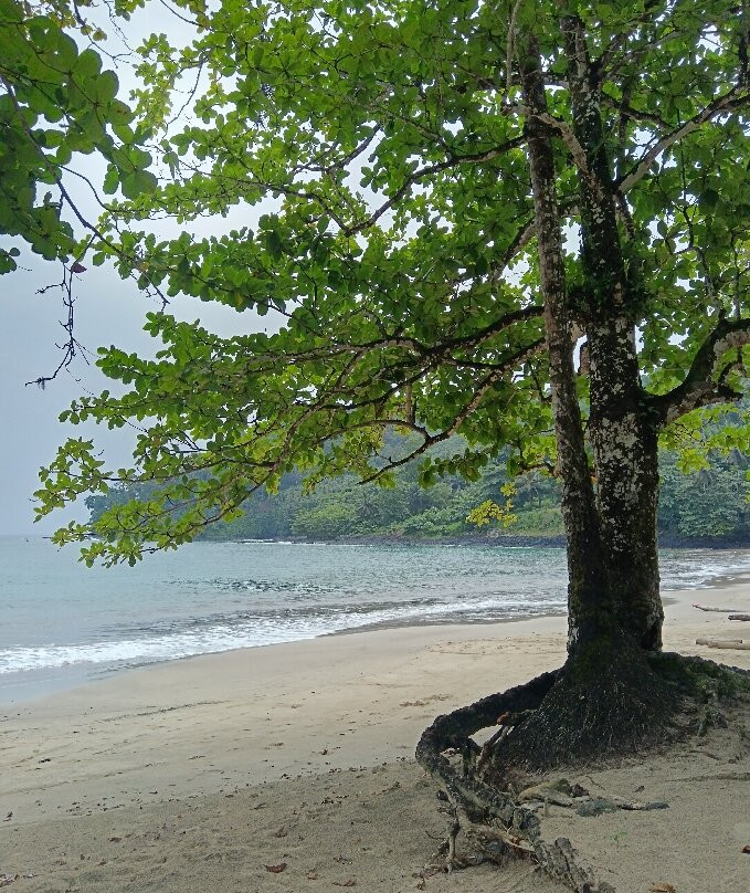 Praia Micondo景点图片