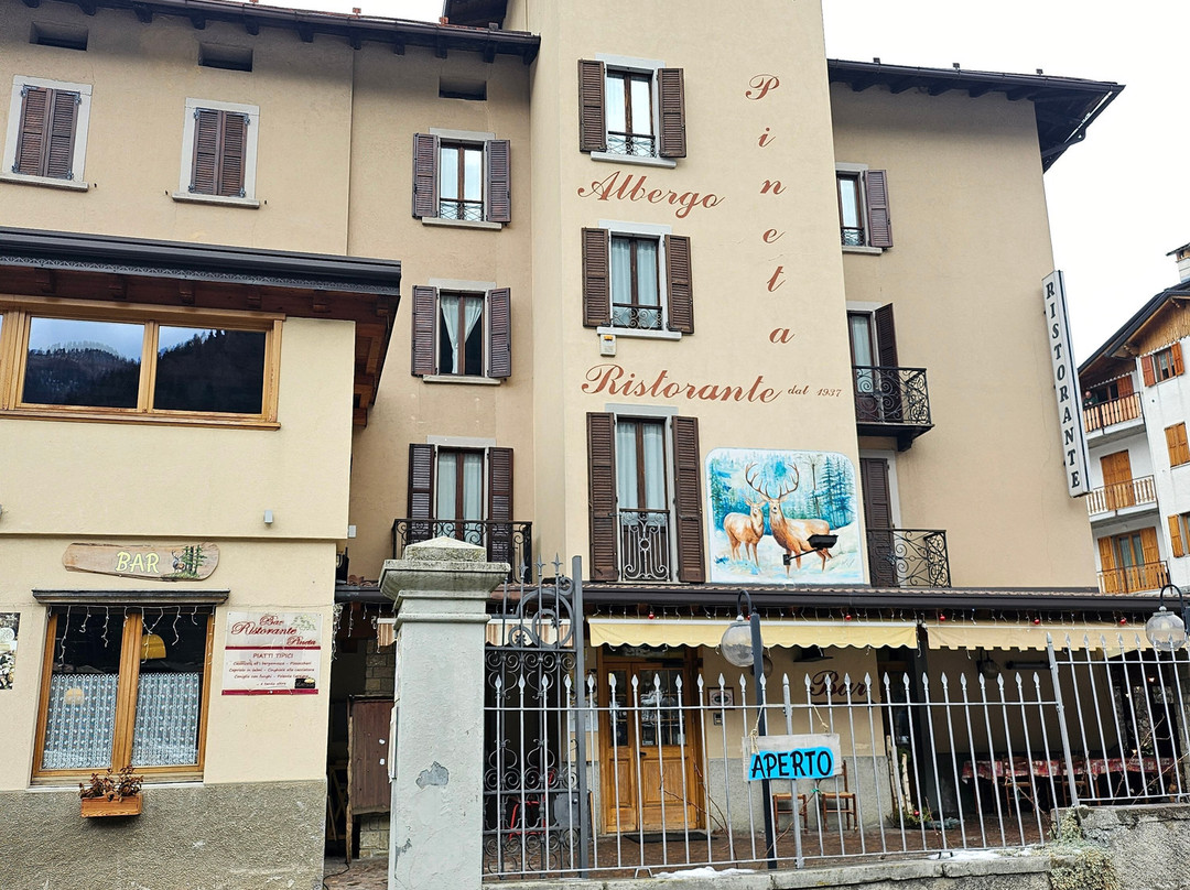 Albergo Pineta主图