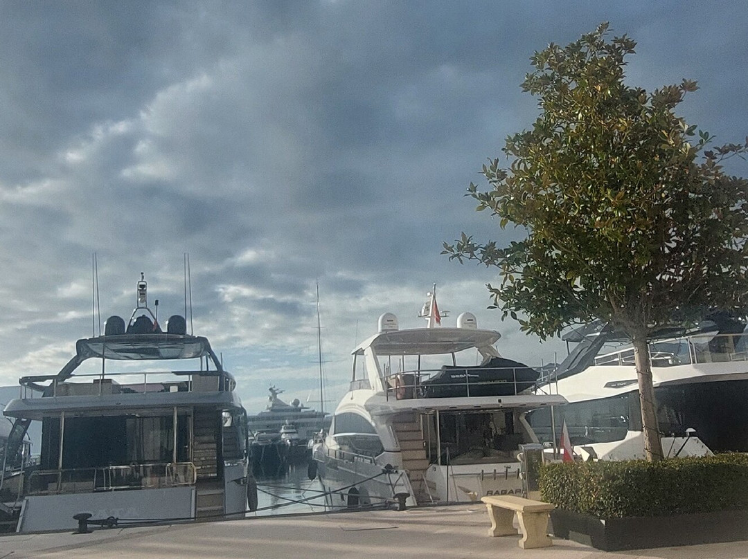 Porto Montenegro-Tivat Municipality必去景点