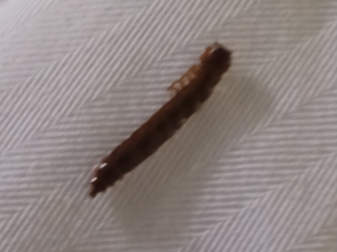 Baymont by Wyndham Clarksville主图