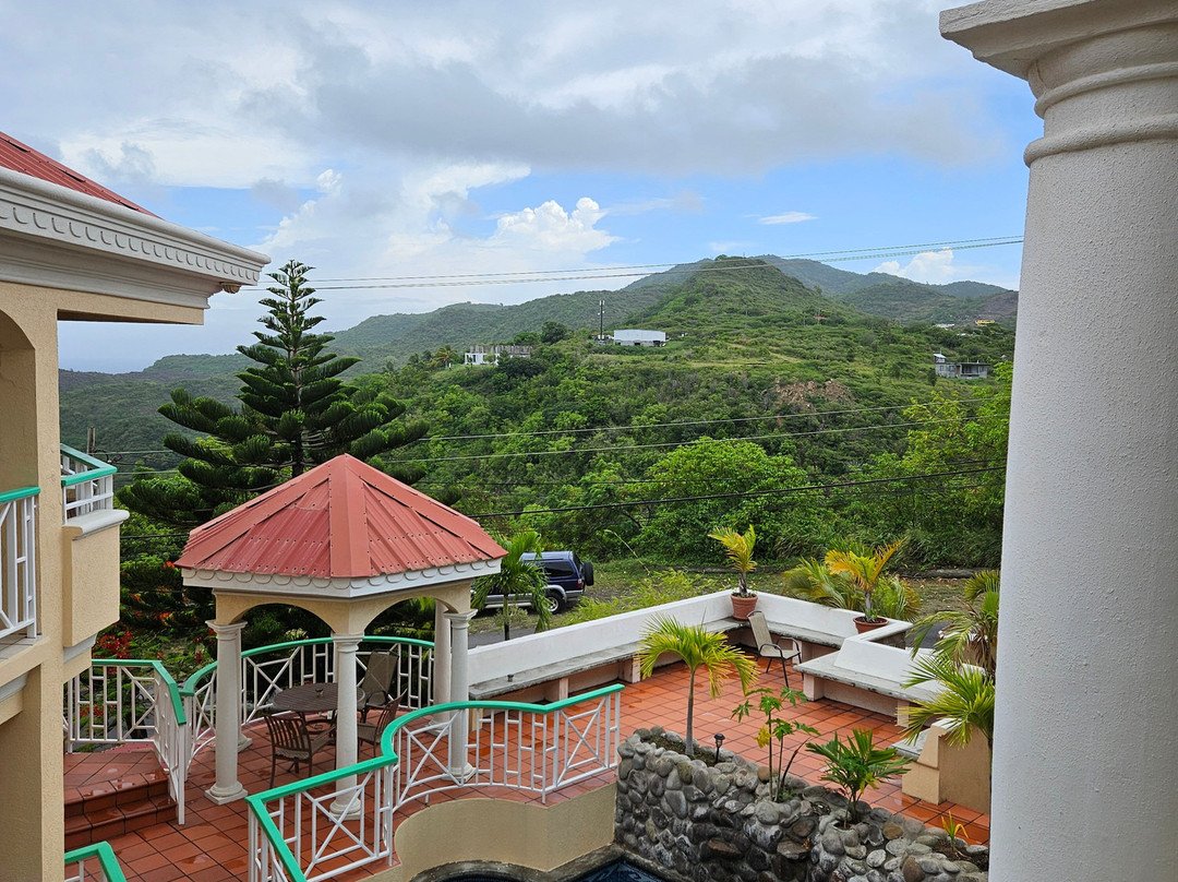 Tropical Mansion Suites主图