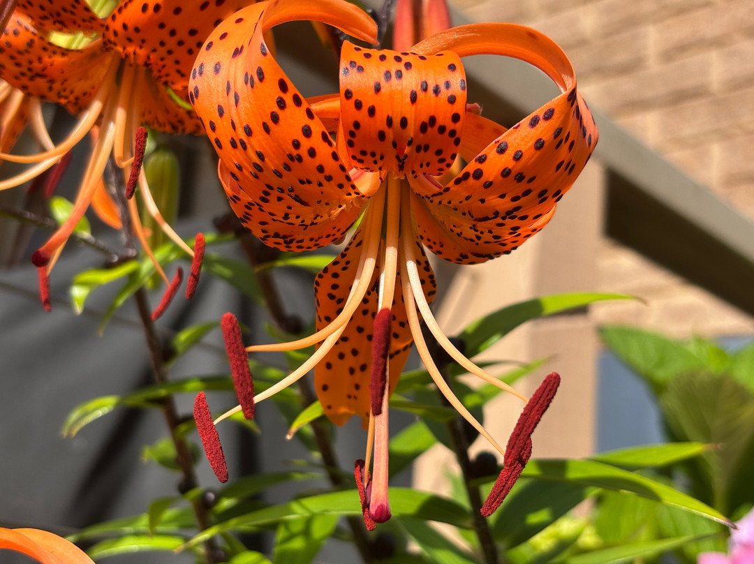 阿比斯湾酒店主图