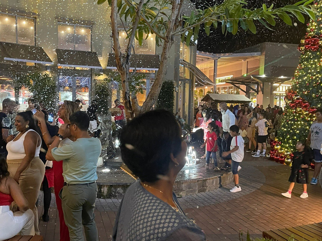Bagatelle Mall by Ascencia-莫卡必去景点