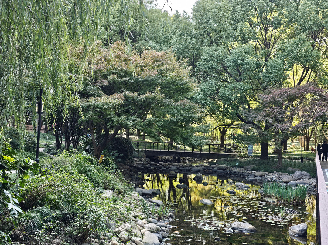 延中绿地-上海市必去景点