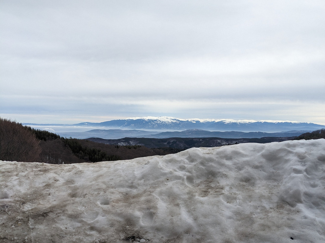 Mountain View Lodge Bulgaria主图