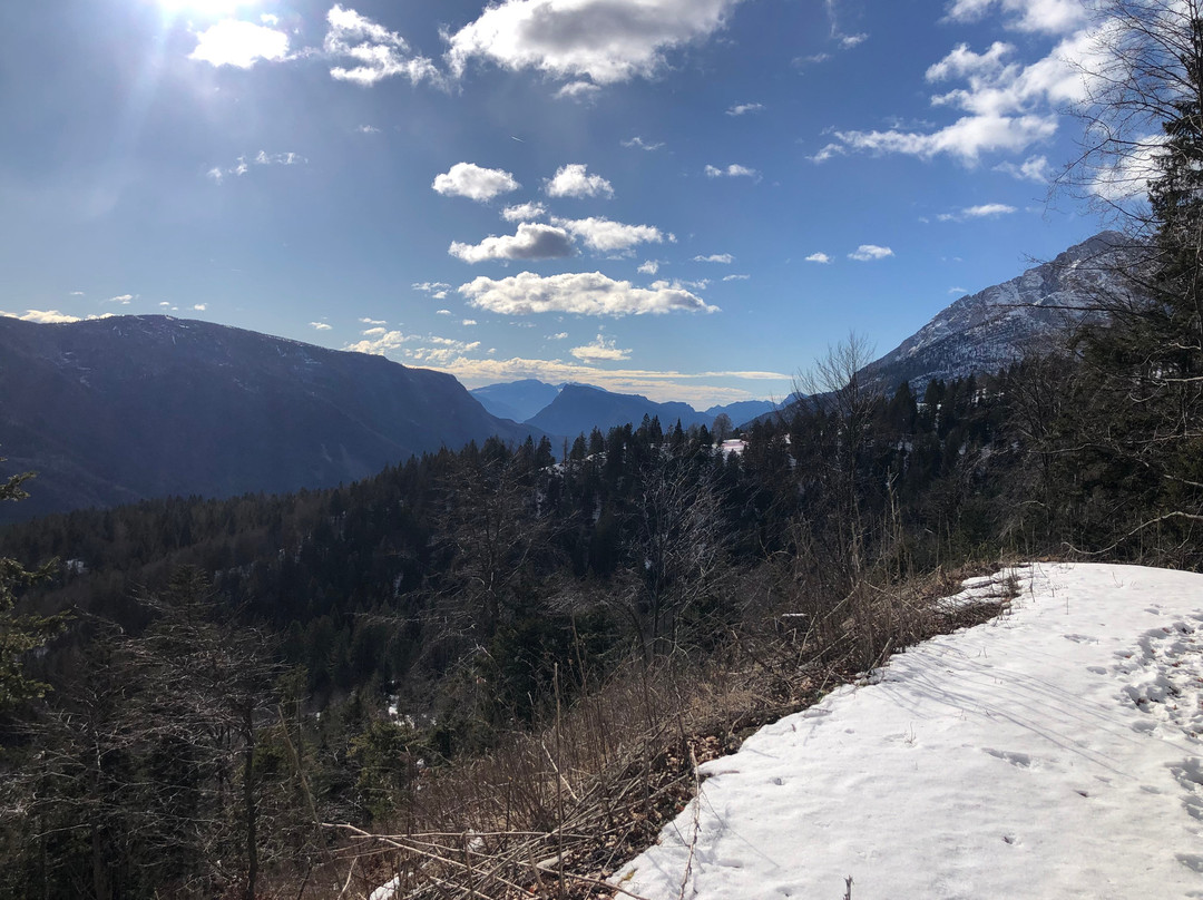 Scuola Italiana Sci Dolomiti di Brenta‎景点图片