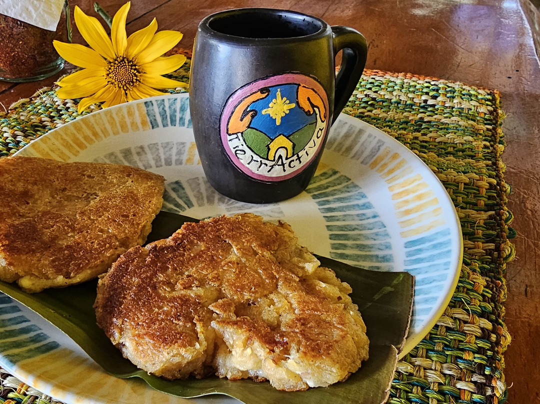 HotelTierraactiva主图