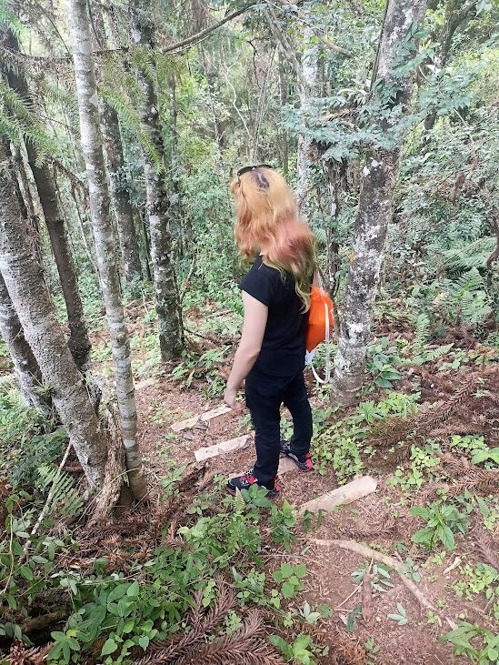 Araukaria Brazil - Monte Verde-蒙特贝尔德必去景点