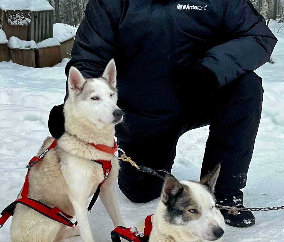 Pure Lapland-罗瓦涅米必去景点