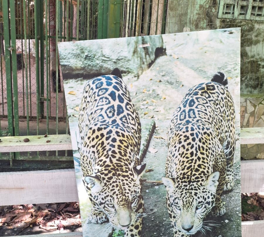Fundacao Zoobotanica de Maraba景点图片