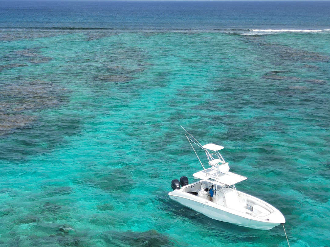 Talbot's Adventures-格雷斯湾必去景点