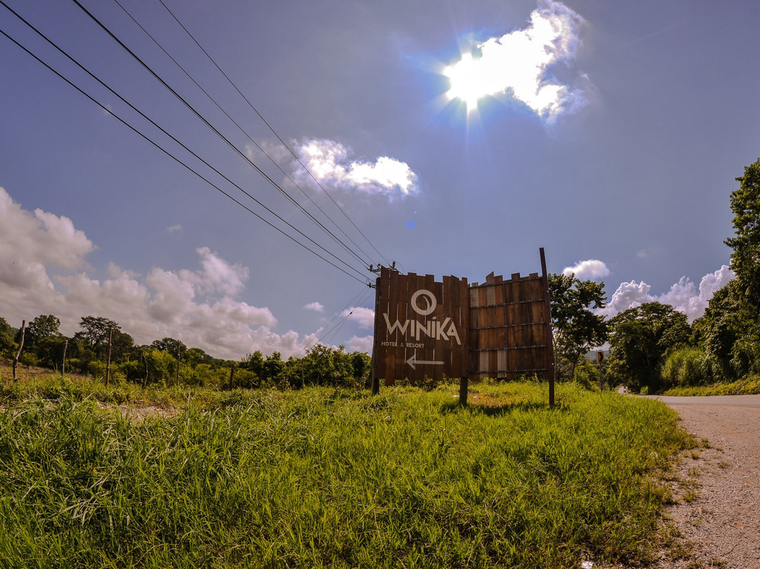 Winika Alterra主图