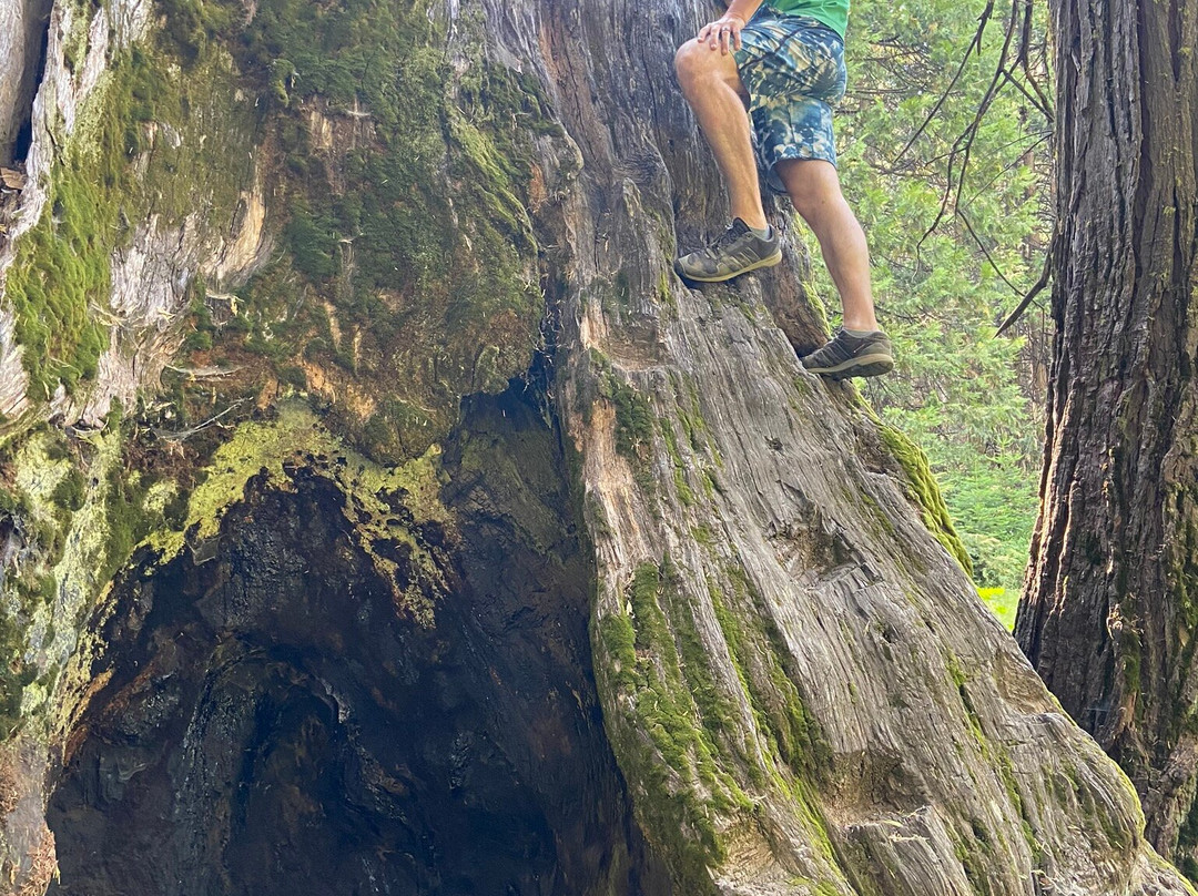 内尔德格罗夫-马德拉必去景点
