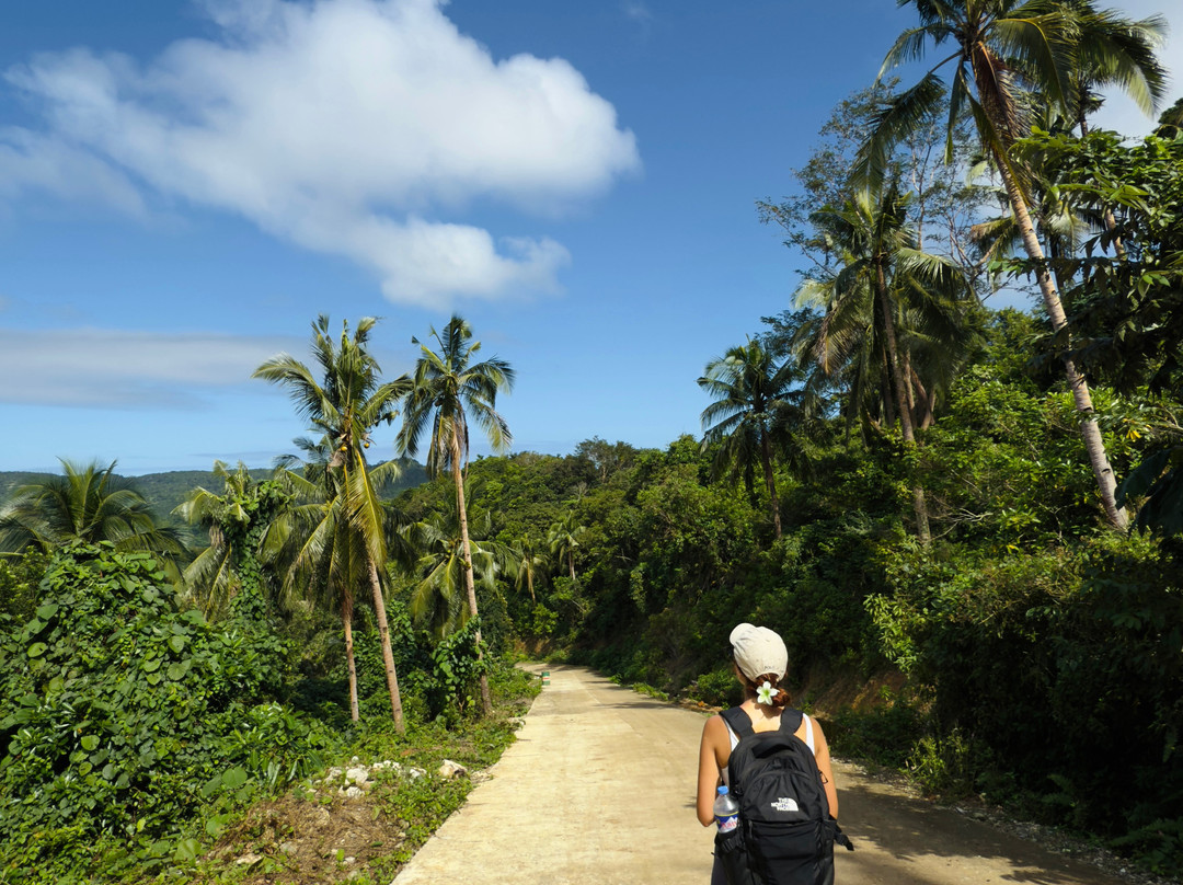 Stone Creek House主图