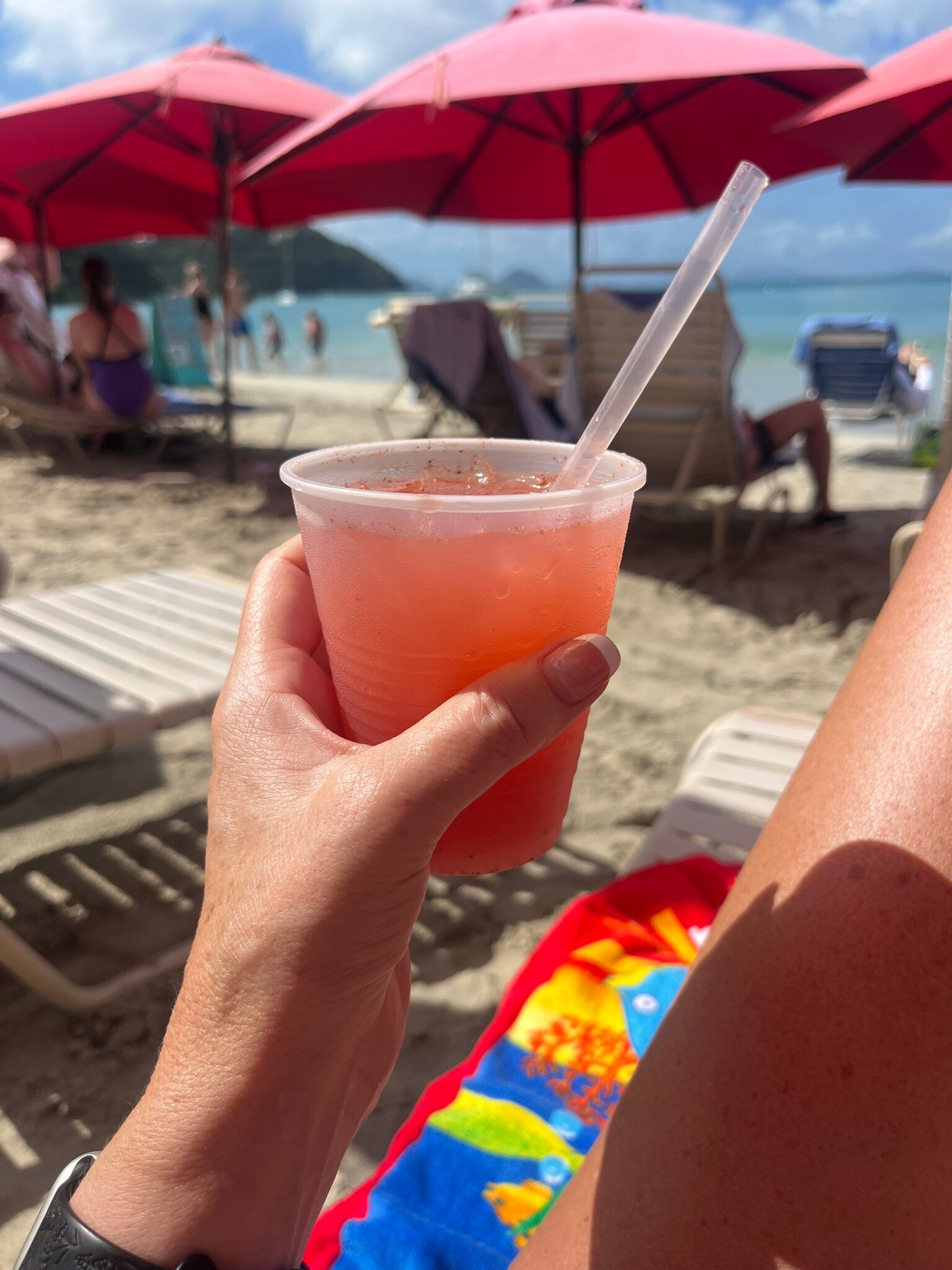 Elm Beach Suites-官方