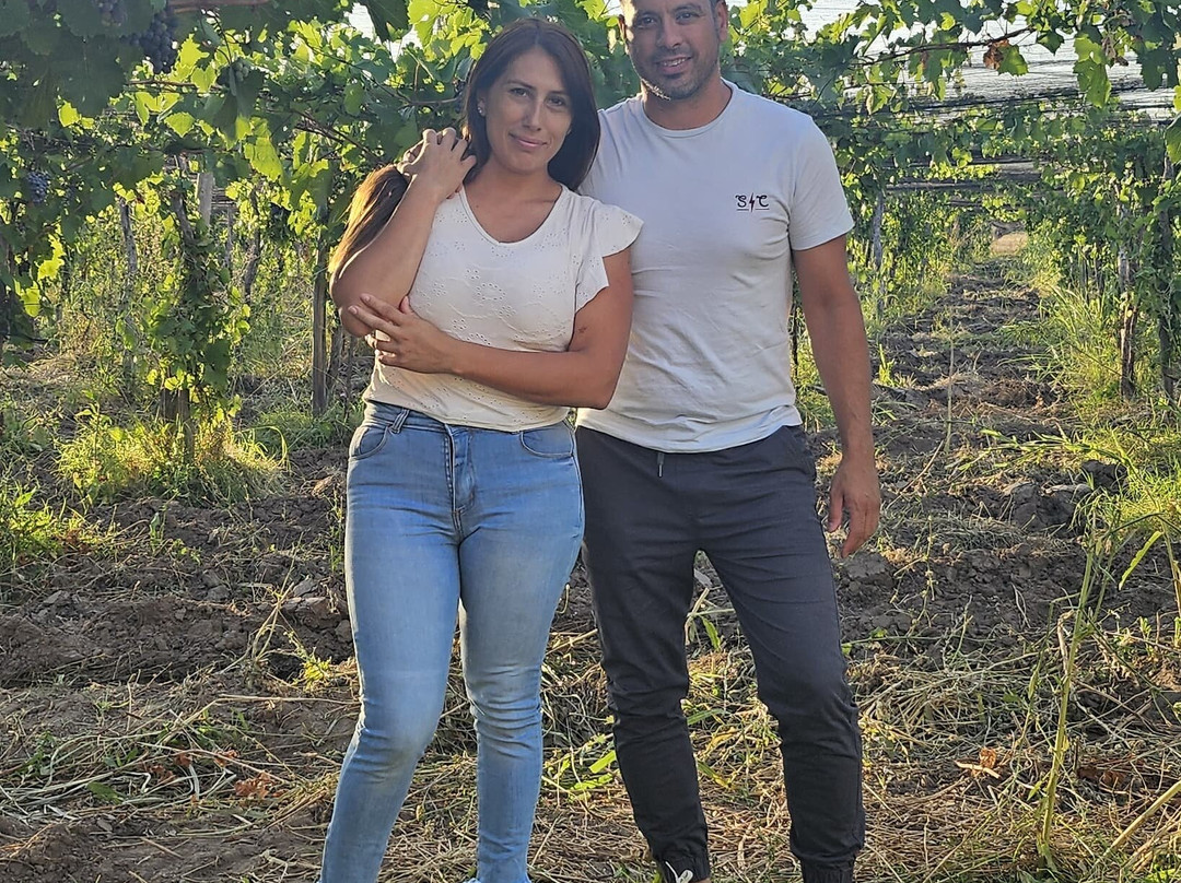 Bodega Terra Lombarda-圣拉斐尔必去景点