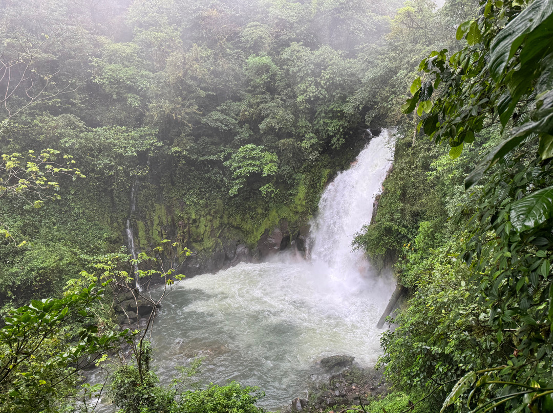 Dees Costa Rica Tours景点图片