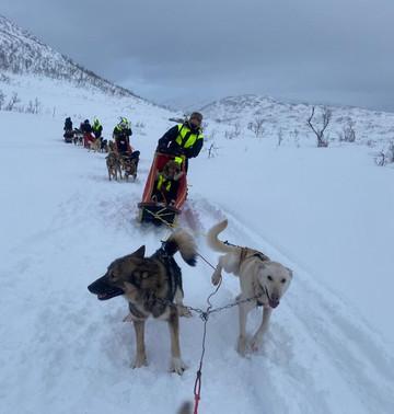 FRAMTours-特罗姆瑟必去景点