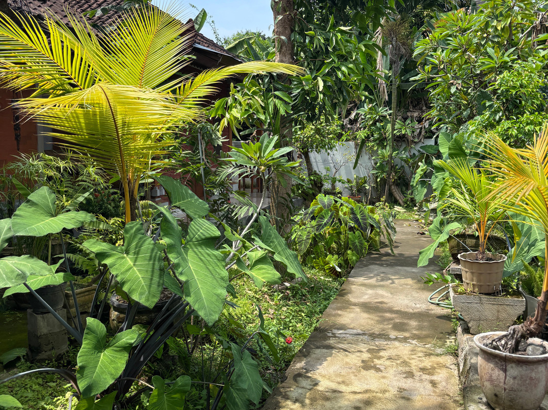 Barclona Guesthouses Lovina主图