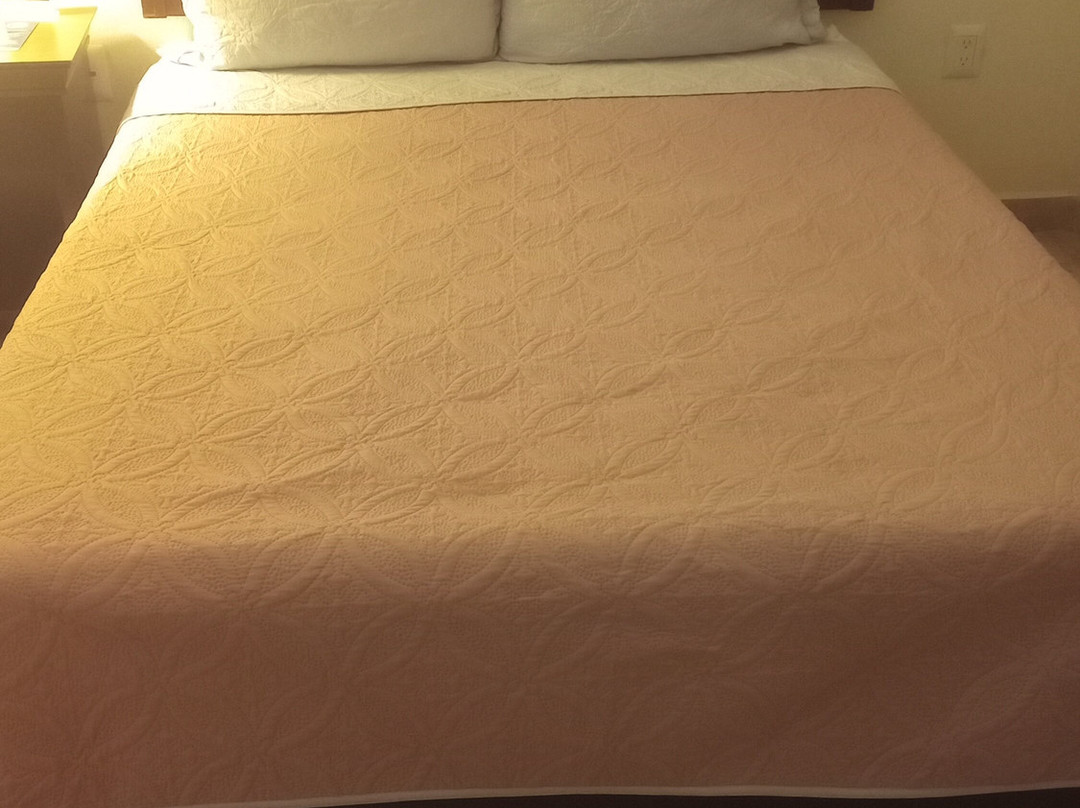 Palmareca Inn-Suites-Studios主图