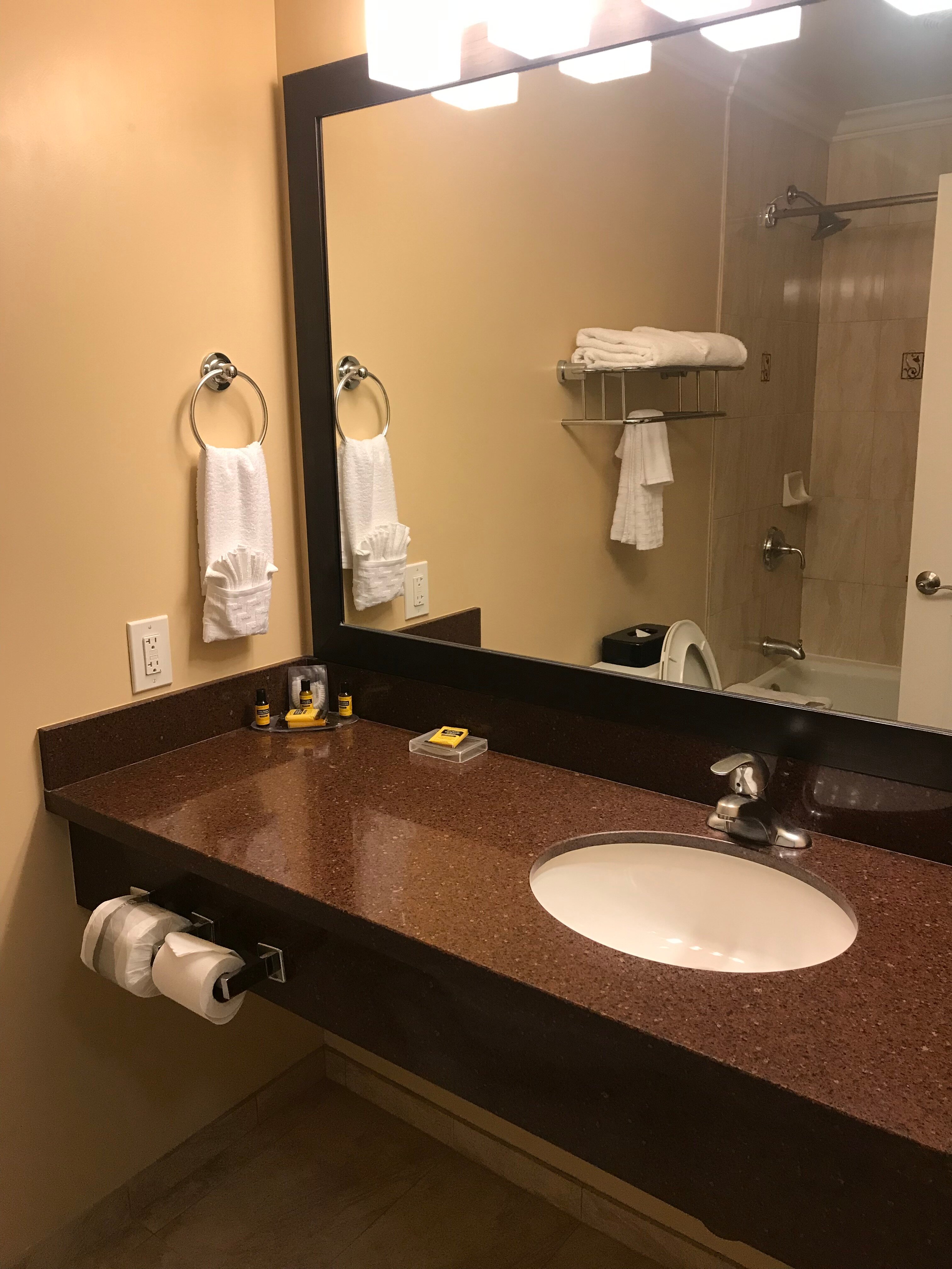 贝斯特韦斯特普拉斯机场广场酒店-浴室