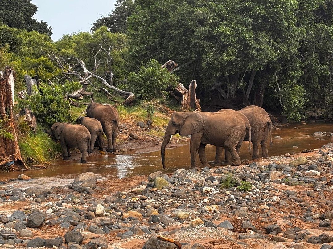 Samora Explorers-阿鲁沙必去景点