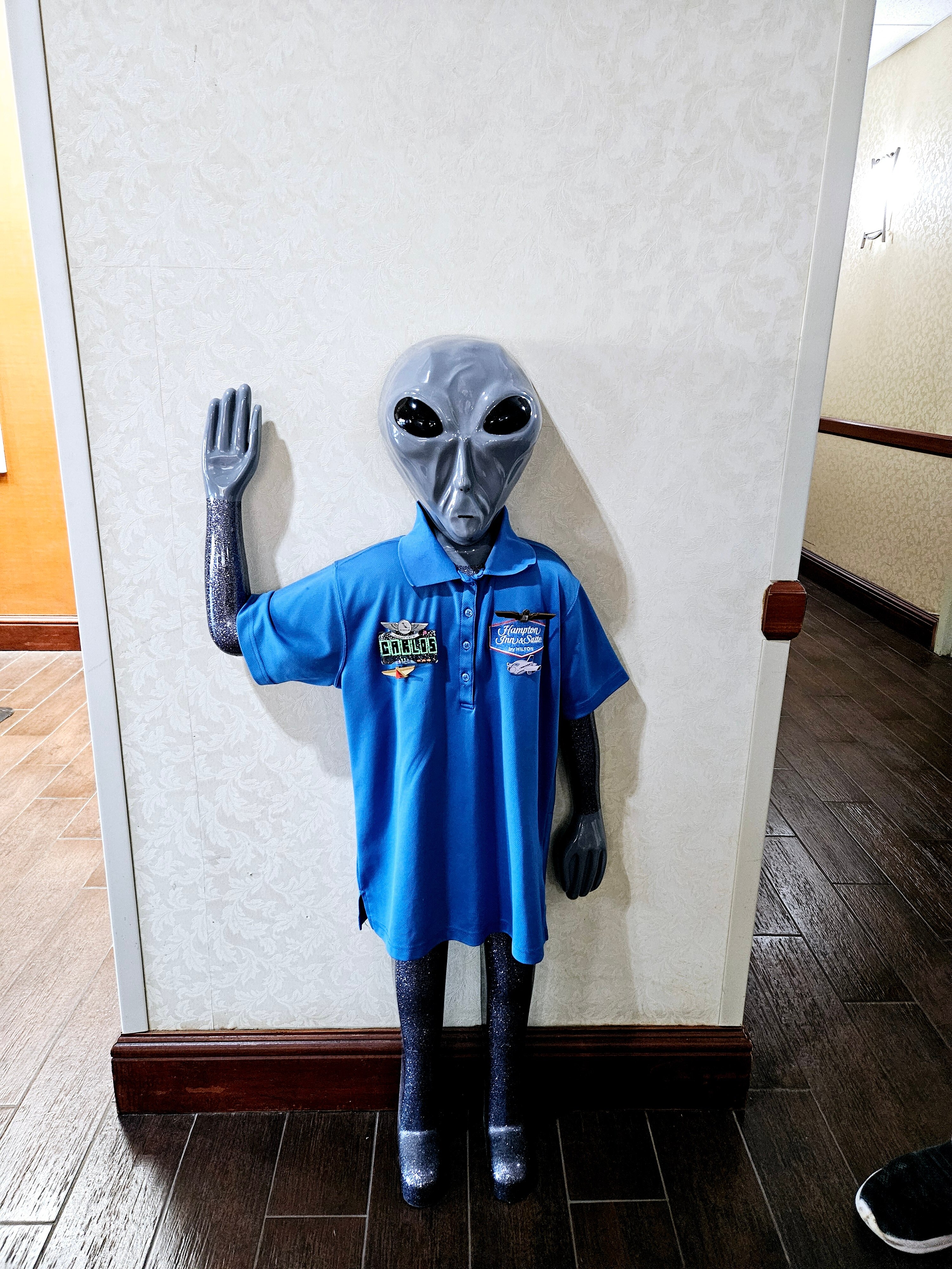 Hampton Inn & Suites Roswell-浴室