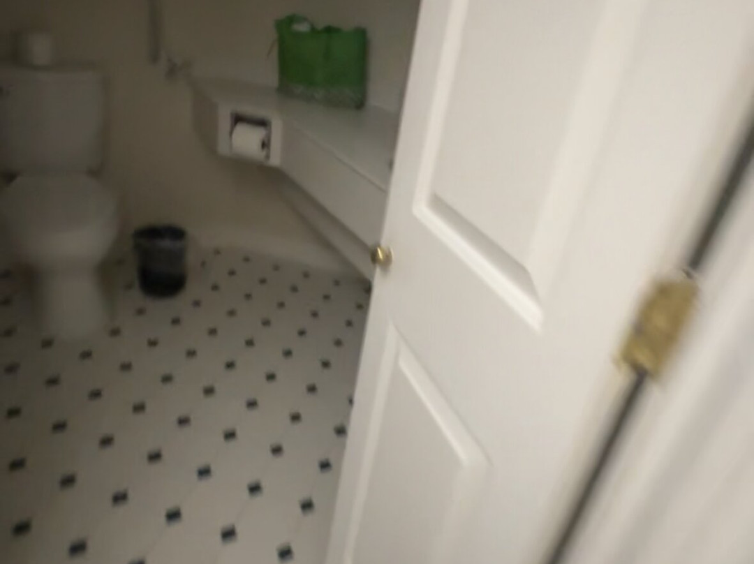 La Quinta Inn & Suites by Wyndham USF主图