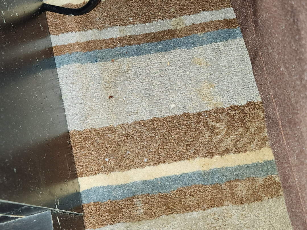 Super 8 by Wyndham Elkins主图