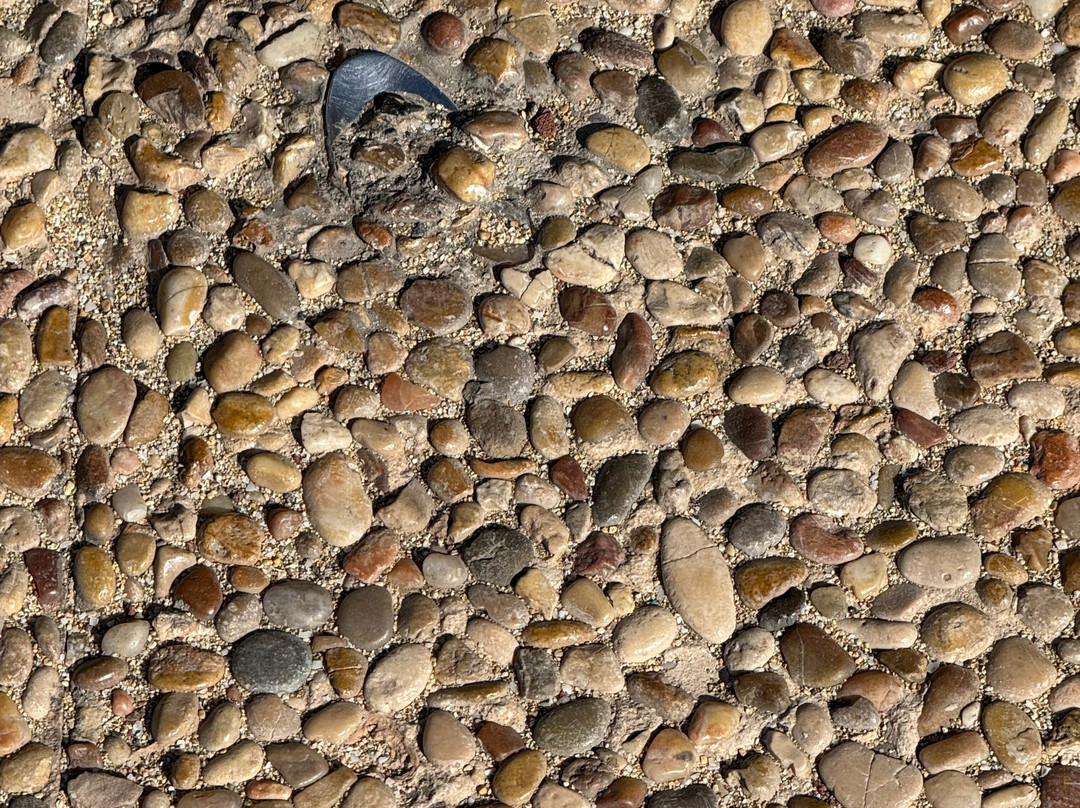 The Spoon In Concrete景点图片