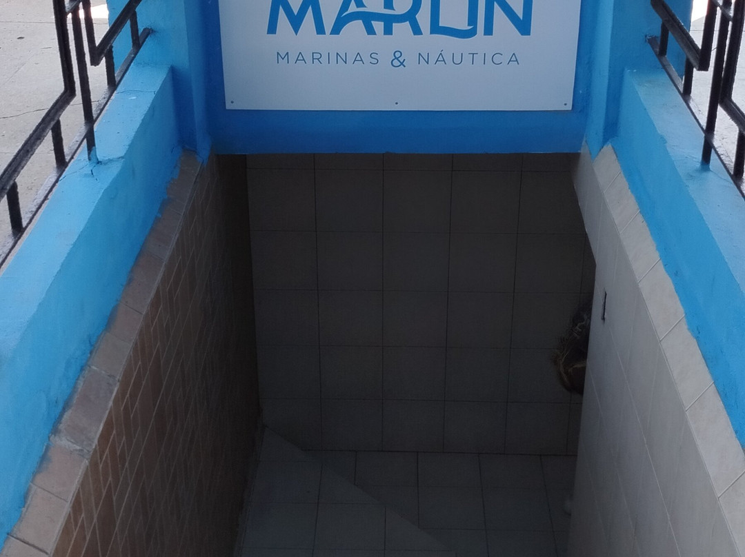 Marina Marlin Cayo Largo景点图片
