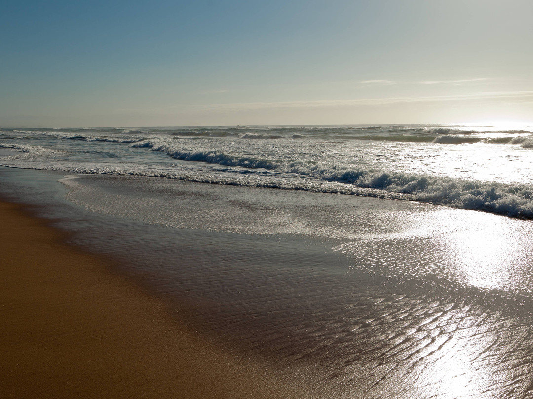 Protea Hotel Karridene Beach主图